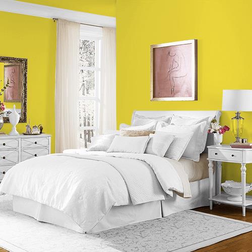 Gone Giddy MEN7151-3