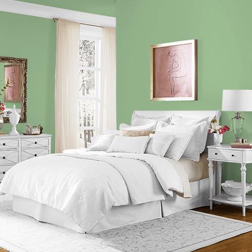 Pear Cactus MEN7178-4