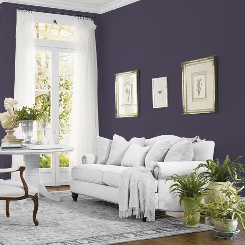 Blackberry MEN7049-6