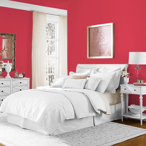 Calypso Berry MEN7081-3