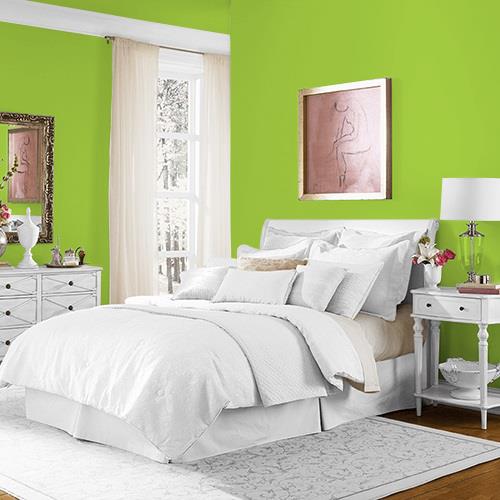 Funky Frog MEN7166-3