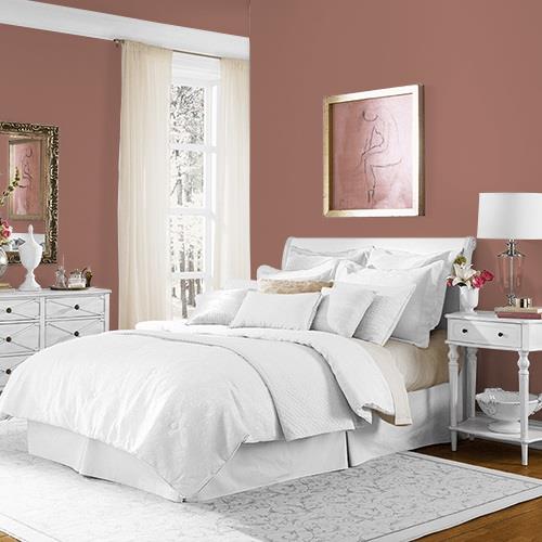 Safari Brown MEN7089-5