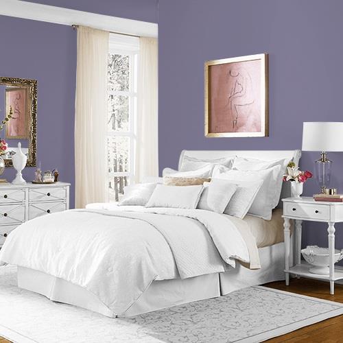 Plum Shade MEN7043-5