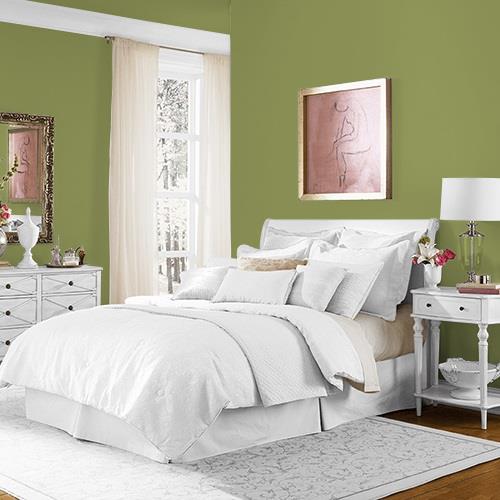 Glade Green MEN7167-6