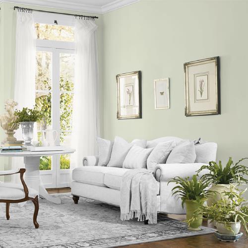 White Sage MEN7169-2