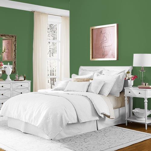 Clover Leaf MEN7177-6