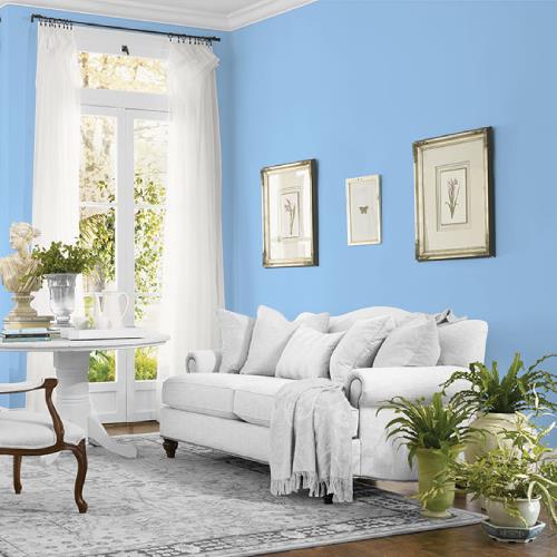 Viva La Bleu MEN7041-2