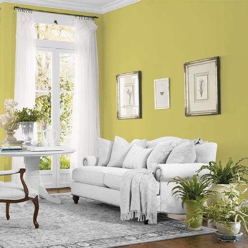 Secret Safari MEN7157-4