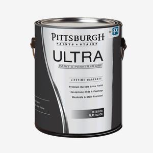 Ultra Interior Flat Black Paint